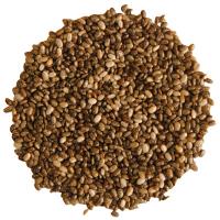 Chia semienka