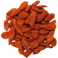 Goji kustovnica čínska