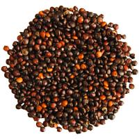 Quinoa čierna