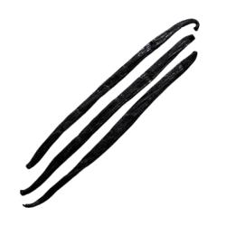 Vanilka struk 17-20cm Madagaskar